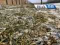 Оренбуржье накроет холодом: ночью ударят заморозки до 2 °C