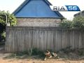 Оренбуржцы, бешенство смертельно: даже один укус может стоит жизни
