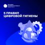 Цифровая гигиена: пять правил безопасности в сети