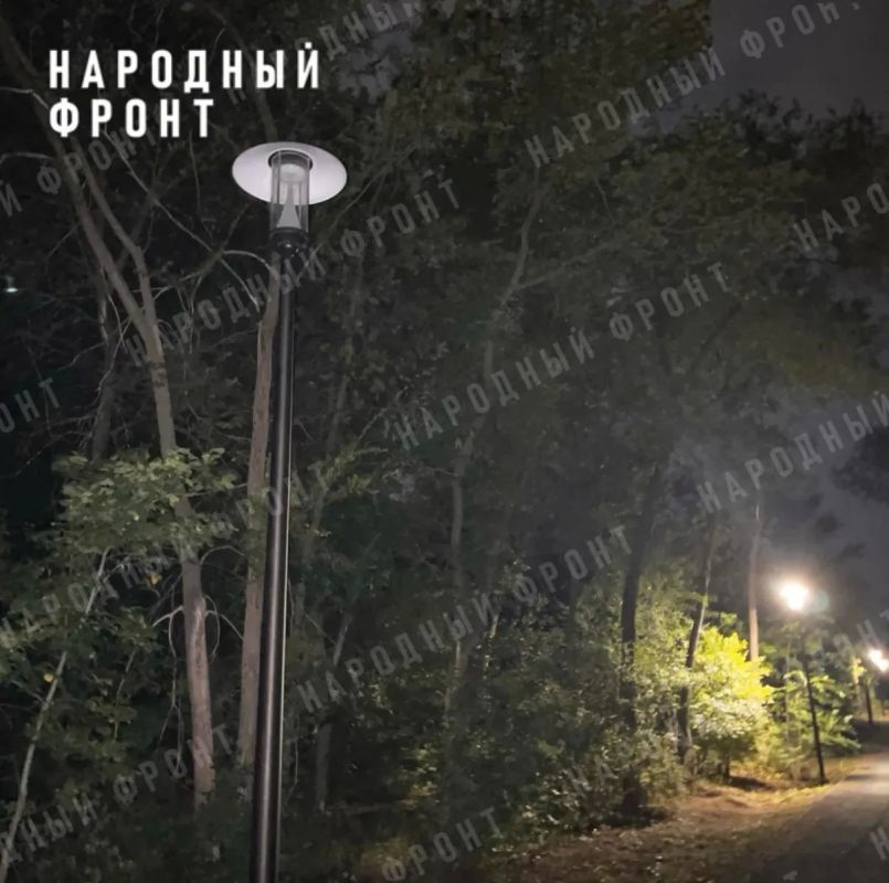 В парке «Березка» в Оренбурге нашли около десятка неработающих фонарей В парке «Березка» в Оренбурге нашли около десятка неработающих фонарей