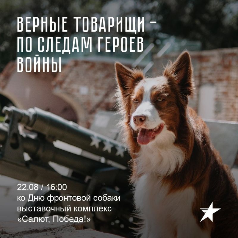 22 августа в Оренбурге отметят День фронтовой собаки