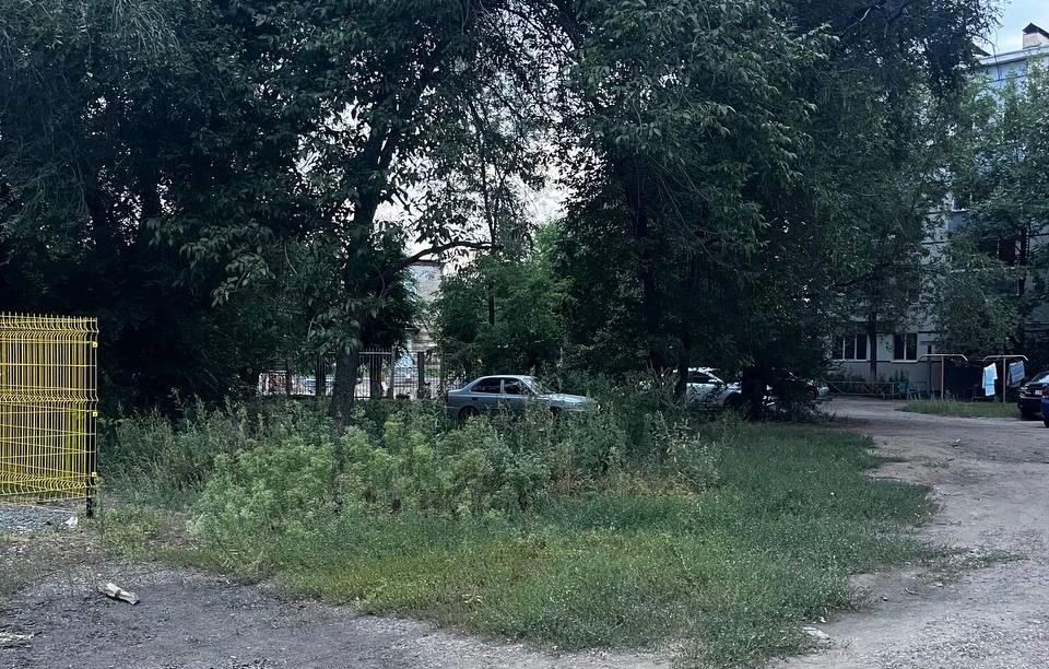 «Мучаемся с аллергией от сорняков»: В Оренбурге на улице Котова не косят траву «Мучаемся с аллергией от сорняков»: В Оренбурге на улице Котова не косят траву