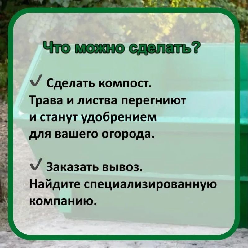 Ветки, листья и шины — нельзя кидать в обычные баки! Ветки, листья и шины — нельзя кидать в обычные баки!