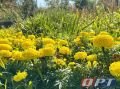 Температура воздуха +32° и грозы: Оренбуржье накроет жара