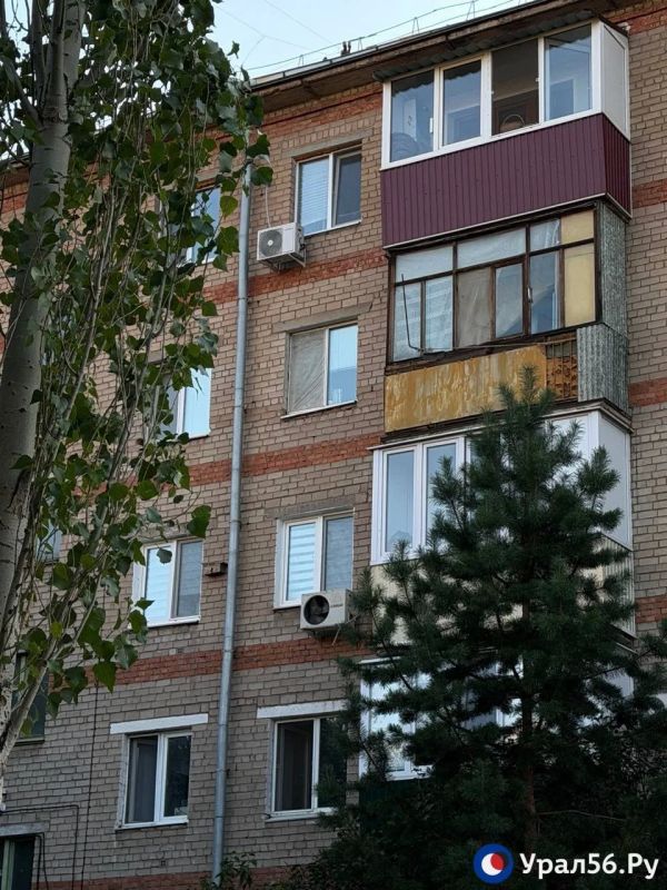 Уютные уголки Орска и пушистый горожанин Уютные уголки Орска и пушистый горожанин