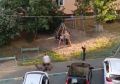 Снимают штаны и жгут пластик: Жители Оренбурга пожаловались на агрессивное поведение подростков