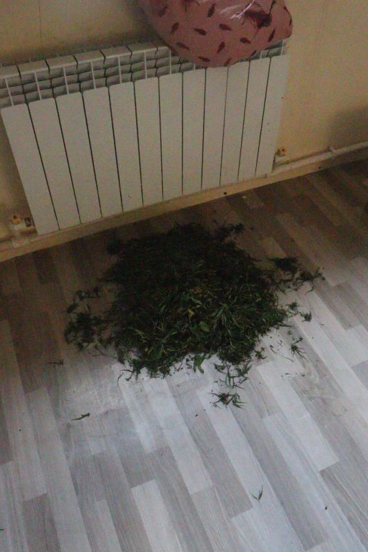 В Бугуруслане полицейские изъяли крупную партию наркотических средств