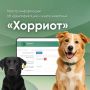 В Орске продолжаются рейды по контролю за содержанием животных