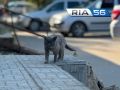 Тёплая пятница ожидается в Оренбуржье