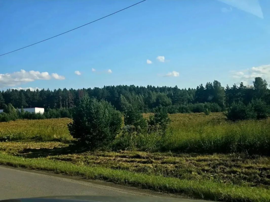 Цветы зла: журналист А. Федосов о возможном приходе борщевика в Оренбуржье Цветы зла: журналист А. Федосов о возможном приходе борщевика в Оренбуржье