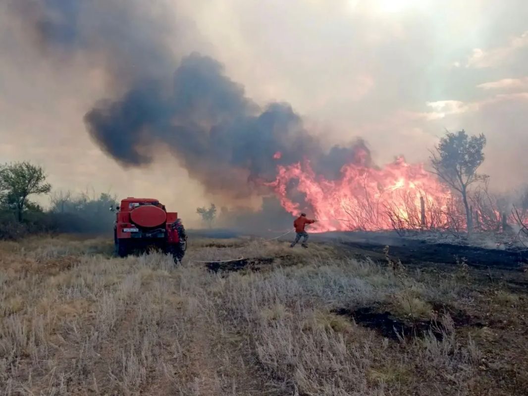Когда в степи начинается пожар, времени на раздумья нет Когда в степи начинается пожар, времени на раздумья нет