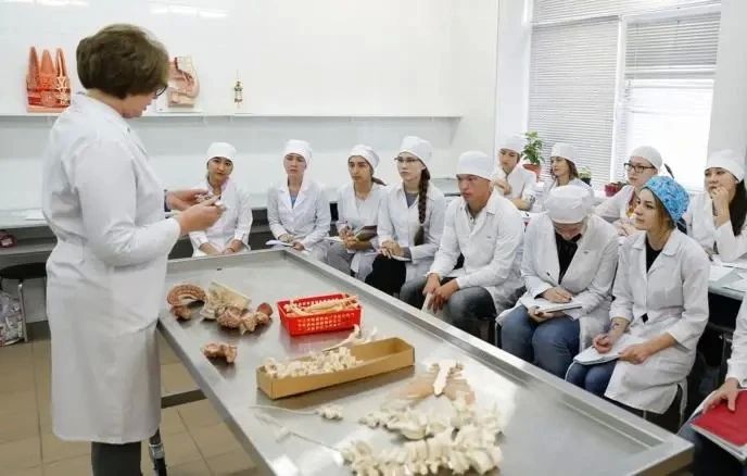 В российских колледжах рекордный наплыв: названы самые популярные специальности