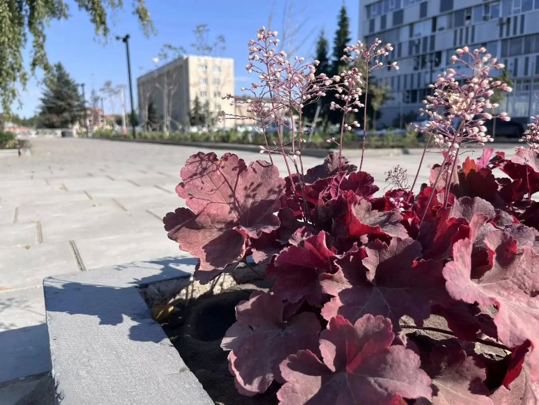 В Бузулуке презентовали обновленный сквер имени Юрия Романенко В Бузулуке презентовали обновленный сквер имени Юрия Романенко