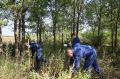 В Оренбурге проведено мероприятие по уничтожению запрещенных растений