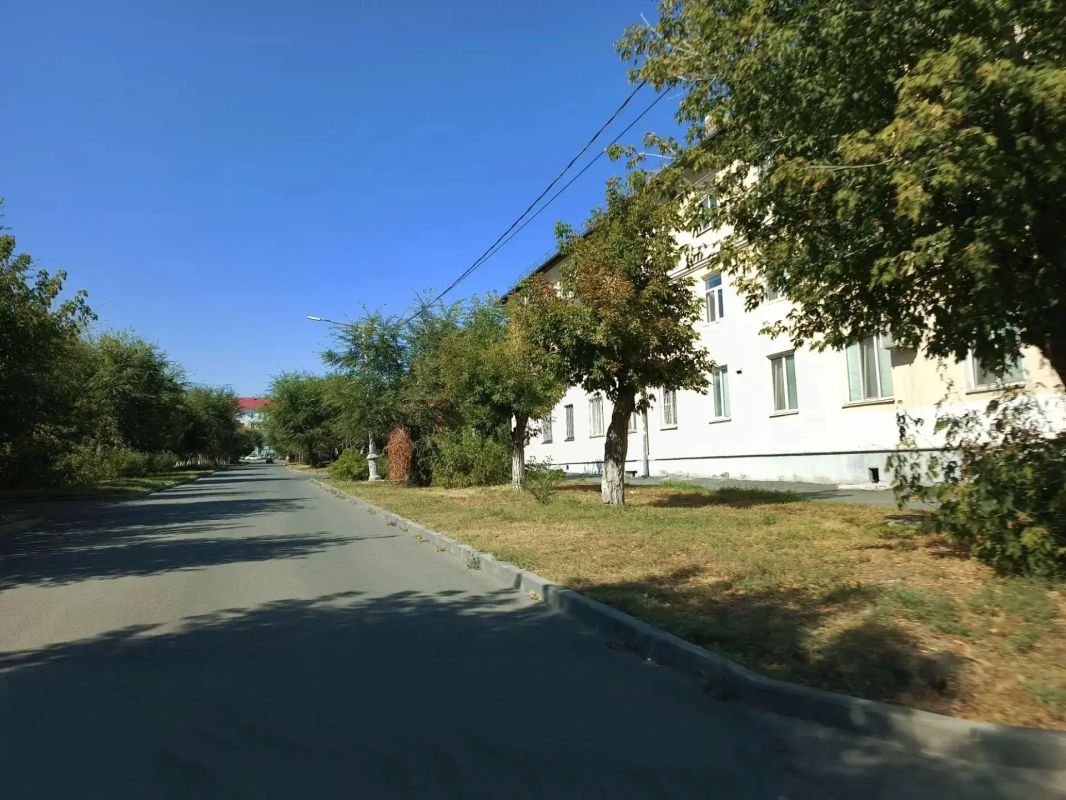Как Орск избавляется от аллергенов Как Орск избавляется от аллергенов