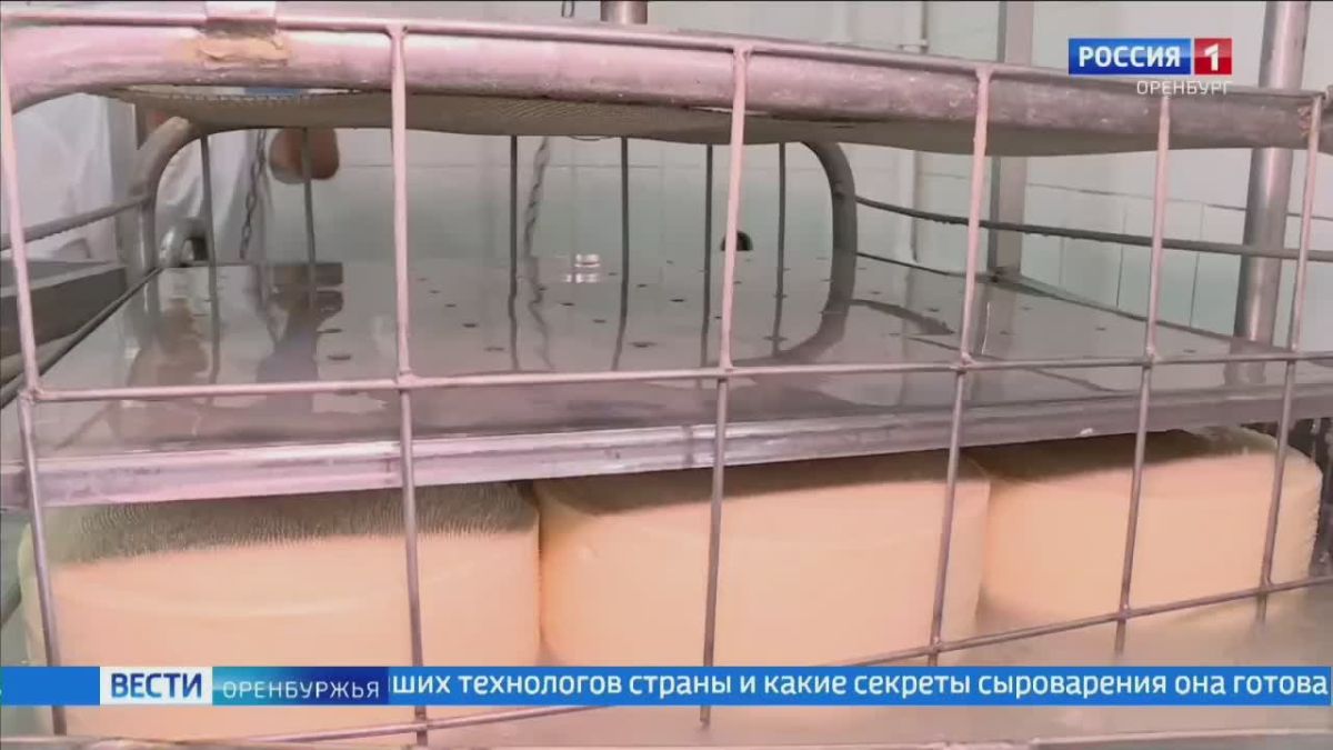 Серебро с золотым отливом: сыровар из Саракташа покорила Всероссийский конкурс