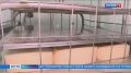 Серебро с золотым отливом: сыровар из Саракташа покорила Всероссийский конкурс