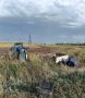 Госатоинспекторы Сорочинска разбираются в обстоятельствах ДТП с грузовым автомобилем