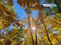 ����� ���� � ����������: ���� �� +30� � ������ ���������