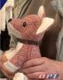 Детский сад для детей участников СВО станет бесплатным