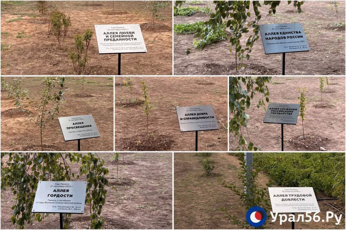 Школа № 35 в Оренбурге: корпоративные классы, грантовые проекты и современный комплексный подход к образованию Школа № 35 в Оренбурге: корпоративные классы, грантовые проекты и современный комплексный подход к образованию