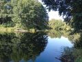 В Бузулукский бор приходят первые заморозки