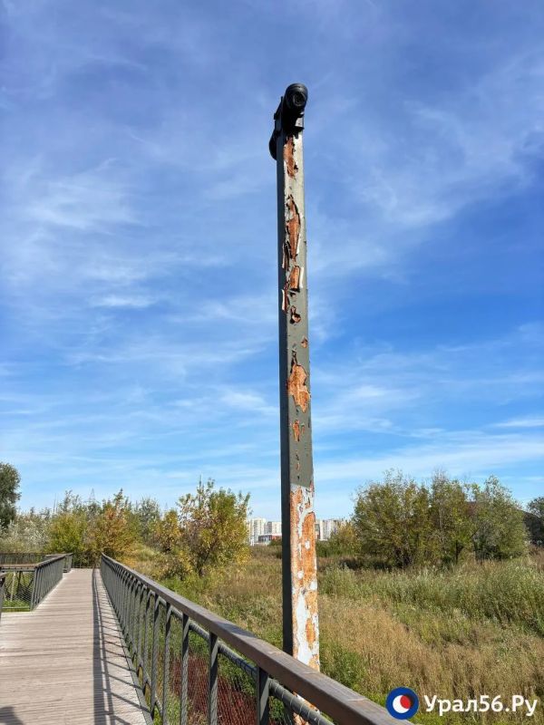 В Оренбурге вода возвращается в озеро под Тропой здоровья, но пока оно больше похоже на болото В Оренбурге вода возвращается в озеро под Тропой здоровья, но пока оно больше похоже на болото