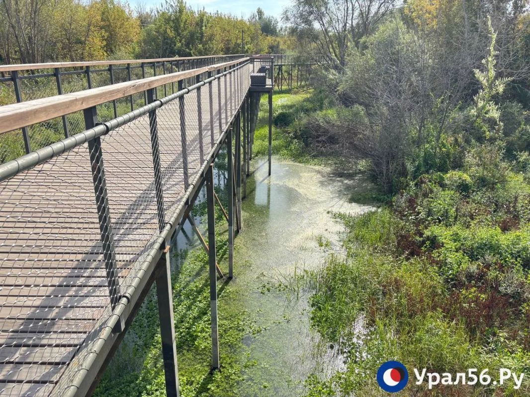 В Оренбурге вода возвращается в озеро под Тропой здоровья, но пока оно больше похоже на болото В Оренбурге вода возвращается в озеро под Тропой здоровья, но пока оно больше похоже на болото