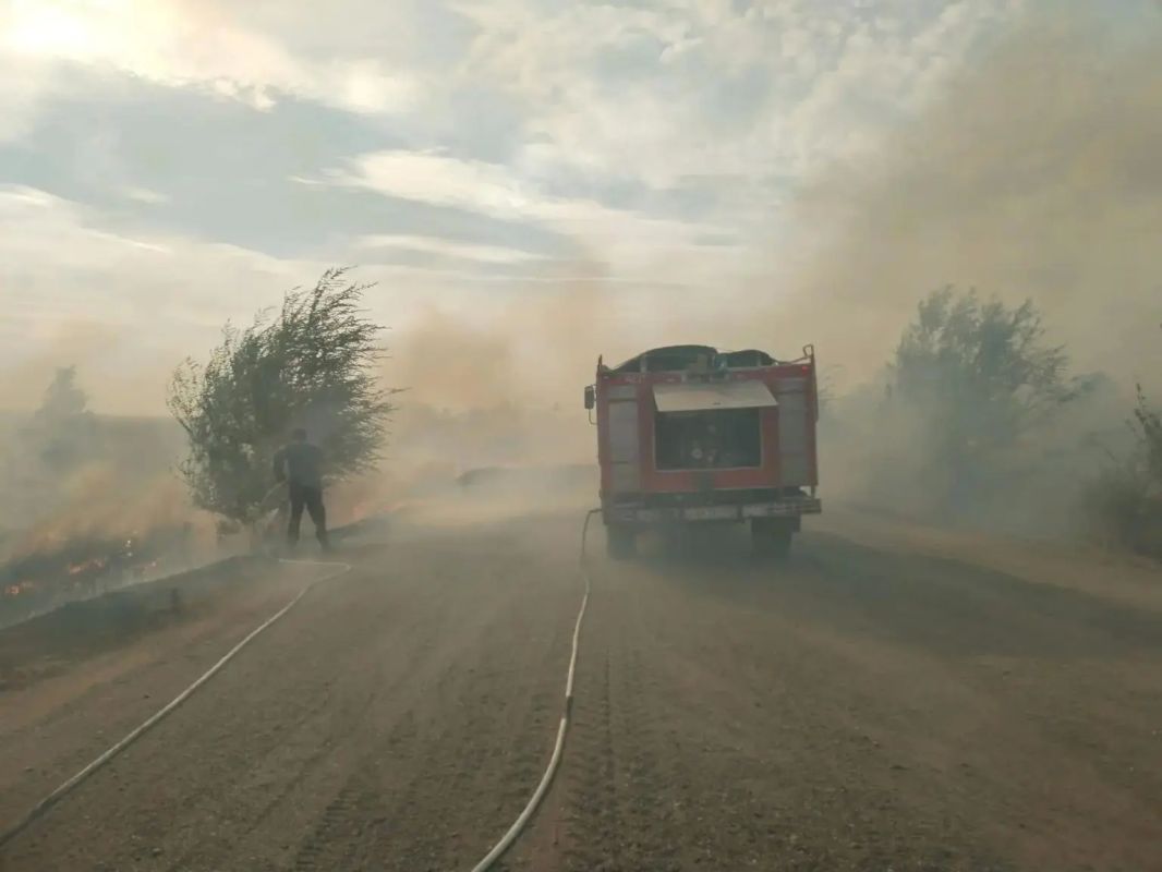 Степной пожар в Беляевском районе: жителей поселка Бурлыкский готовят к эвакуации Степной пожар в Беляевском районе: жителей поселка Бурлыкский готовят к эвакуации