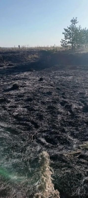 Серия пожаров в Оренбургской области: Как выглядят последствия еще 7 крупных возгораний в регионе? Серия пожаров в Оренбургской области: Как выглядят последствия еще 7 крупных возгораний в регионе?