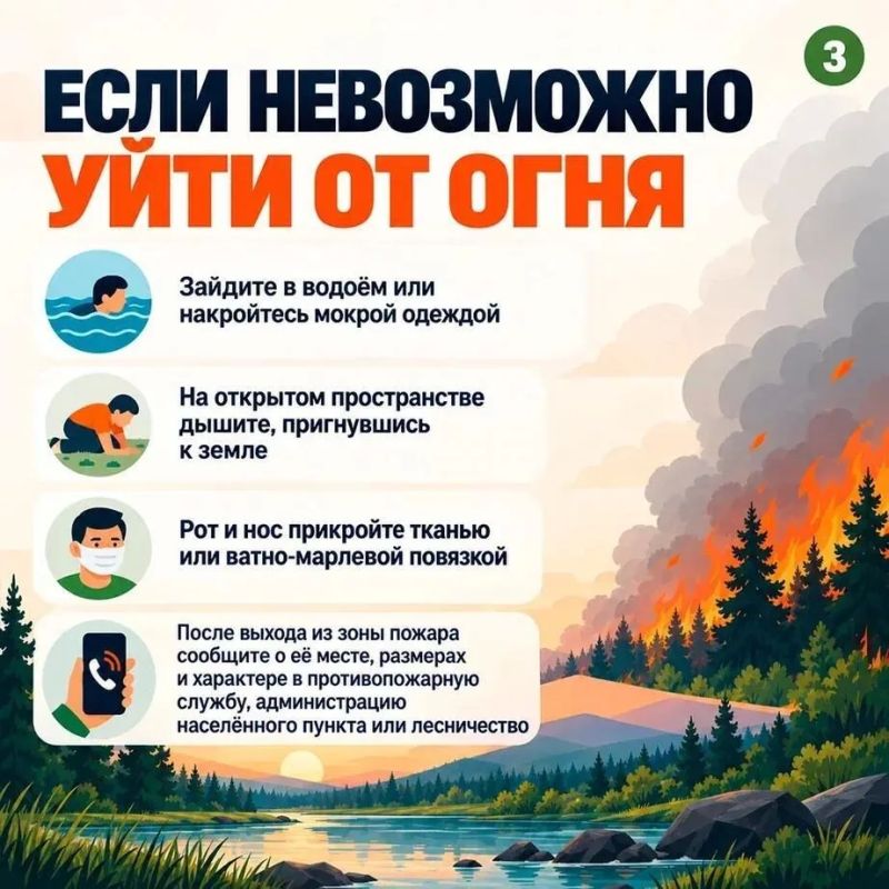 Что делать при ландшафтном пожаре? Что делать при ландшафтном пожаре?