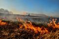 В Новоорском районе Оренбуржья закрыли дорогу из-за ландшафтного пожара