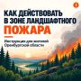 Что делать при ландшафтном пожаре?