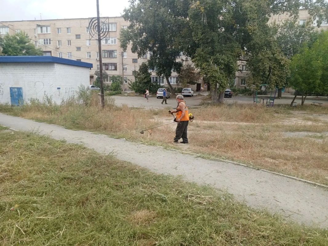 Где косили сегодня?. Сегодня коммунальные службы работали на нескольких участках Где косили сегодня?. Сегодня коммунальные службы работали на нескольких участках