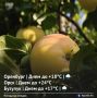 Доброе утро