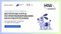 На «Госуслугах» проходит запись на курсы программирования для подростков
