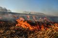 На востоке Оренбуржья введен режим ЧС из-за ландшафтных пожаров