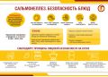 Сальмонеллез – широко распространенная инфекция, вызываемая бактериями рода Salmonella