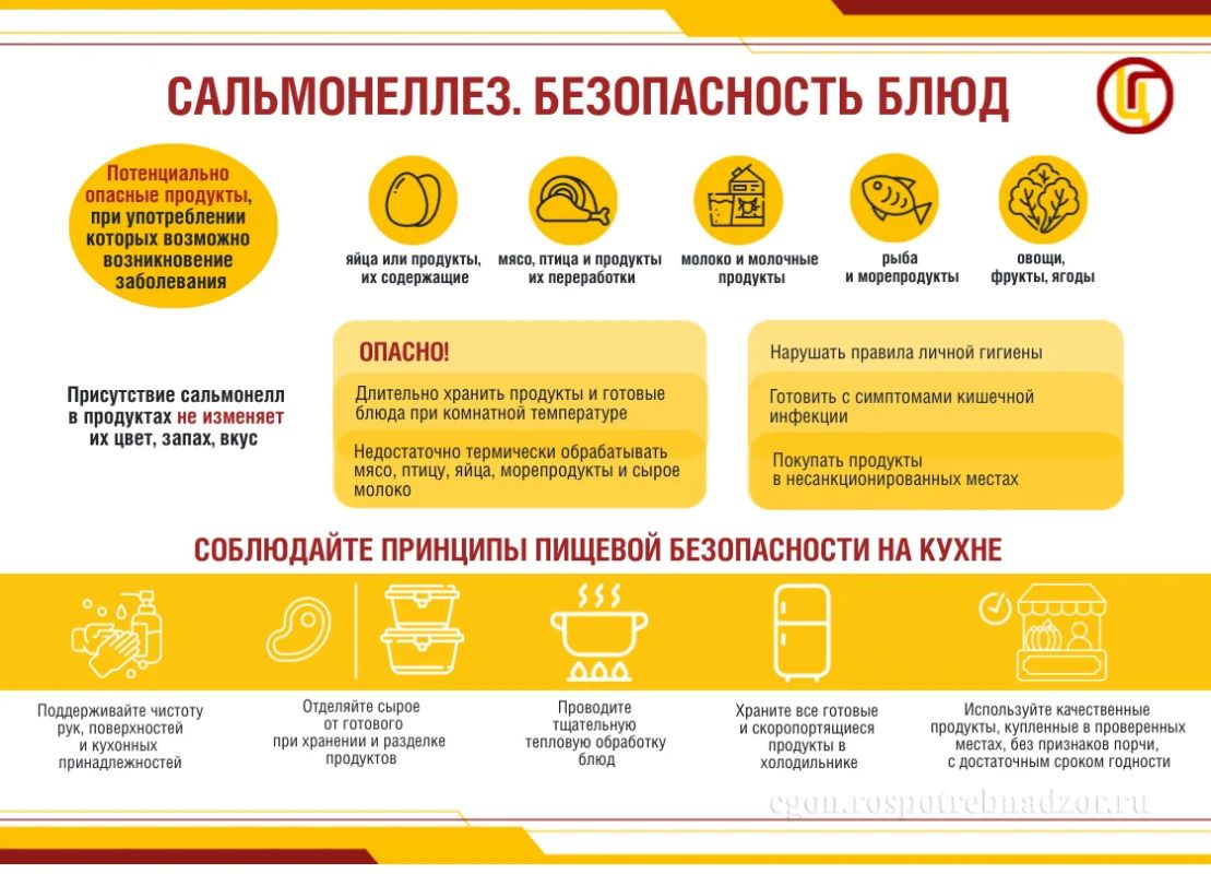Сальмонеллез – широко распространенная инфекция, вызываемая бактериями рода Salmonella