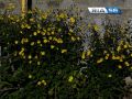 11 сентября, пятница. Продолжительность светового дня в Оренбурге — 12 часов 58 минут