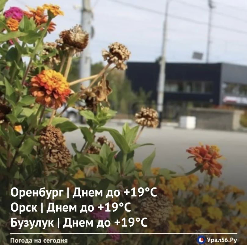 Доброе утро