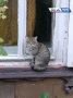 14 сентября, понедельник. Продолжительность светового дня в Оренбурге — 12 часов 45 минут