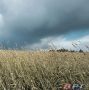 В Оренбуржье ожидаются гроза и сильный ветер