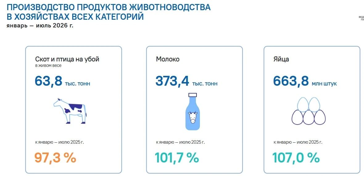 Мяса стало меньше, молока и яиц больше: Оренбургстат рассказал о состоянии животноводства в 2026 году Мяса стало меньше, молока и яиц больше: Оренбургстат рассказал о состоянии животноводства в 2026 году