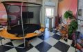 В Соль-Илецке закрыли незаконную выставку кошек