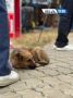 В четверг в Оренбуржье дождливо