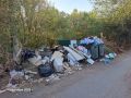 Жители Оренбурга сообщают о крысах из-за неубранных мусорных баков