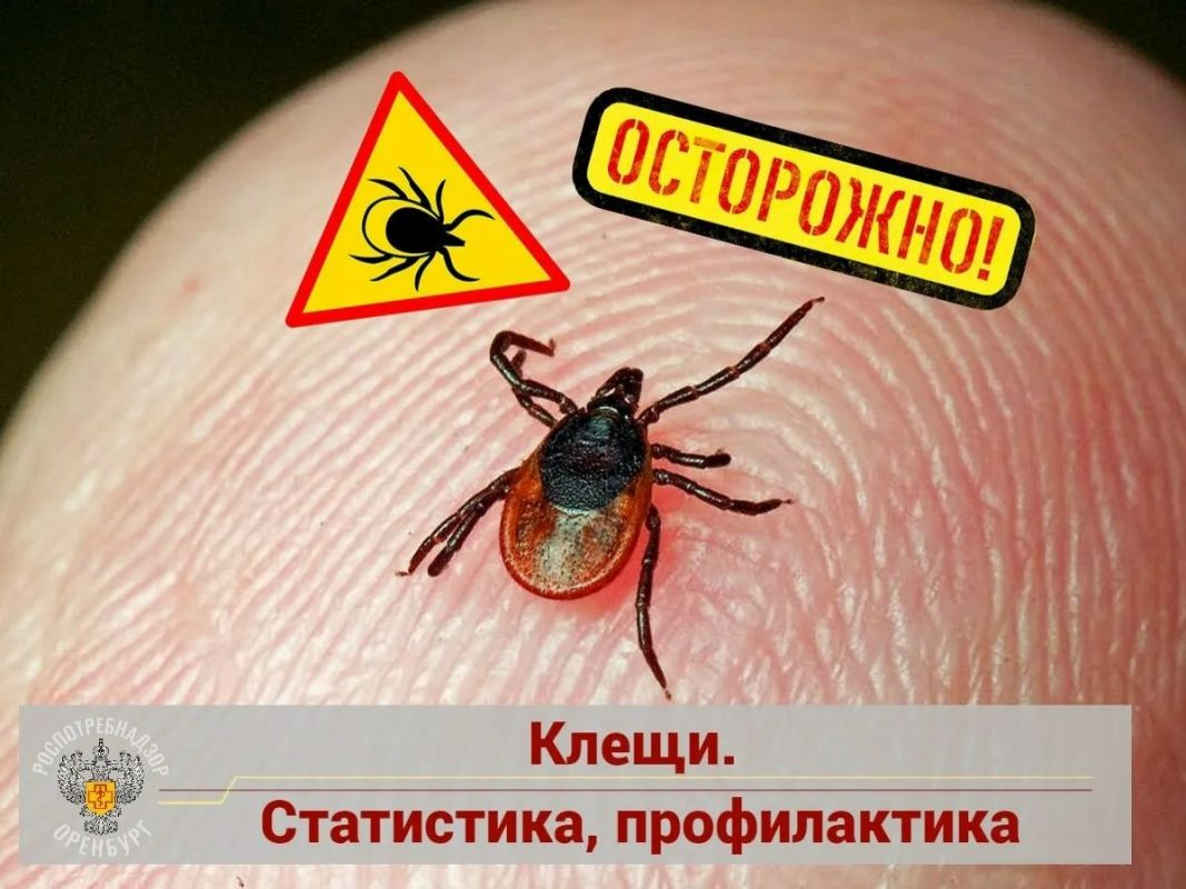 Предстоящие выходные обещают быть теплыми