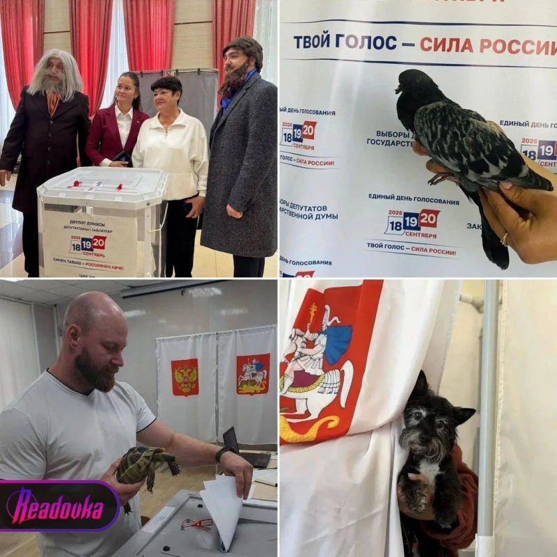 Менделеев, черепахи и национальные блюда России: как прошел третий день выборов Менделеев, черепахи и национальные блюда России: как прошел третий день выборов
