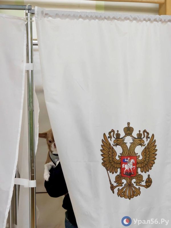 Последние минуты голосования корреспондент Урал56.Ру провел в Северо-Восточном районе города Оренбурга Последние минуты голосования корреспондент Урал56.Ру провел в Северо-Восточном районе города Оренбурга